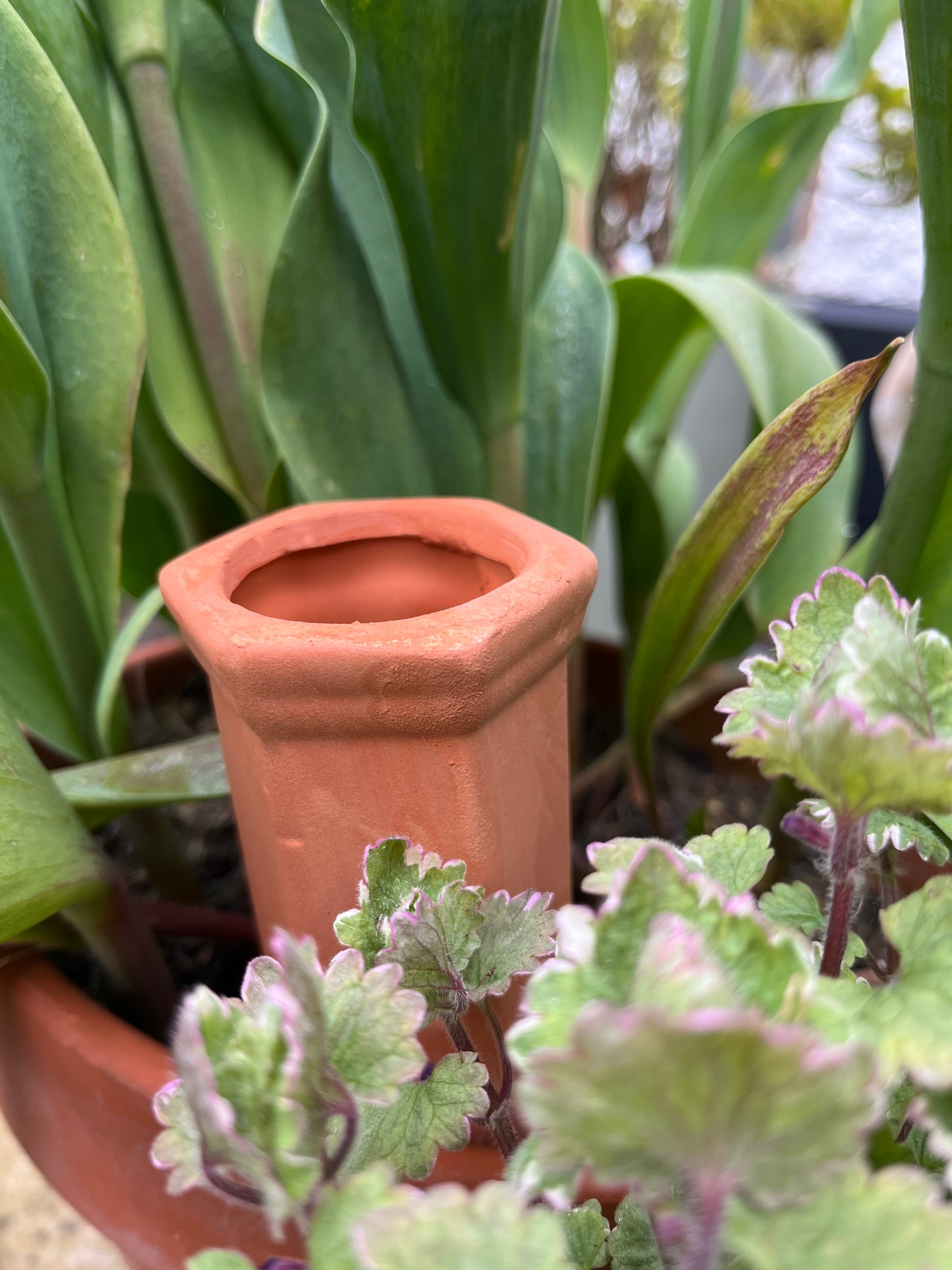 Terracotta Watering Spike